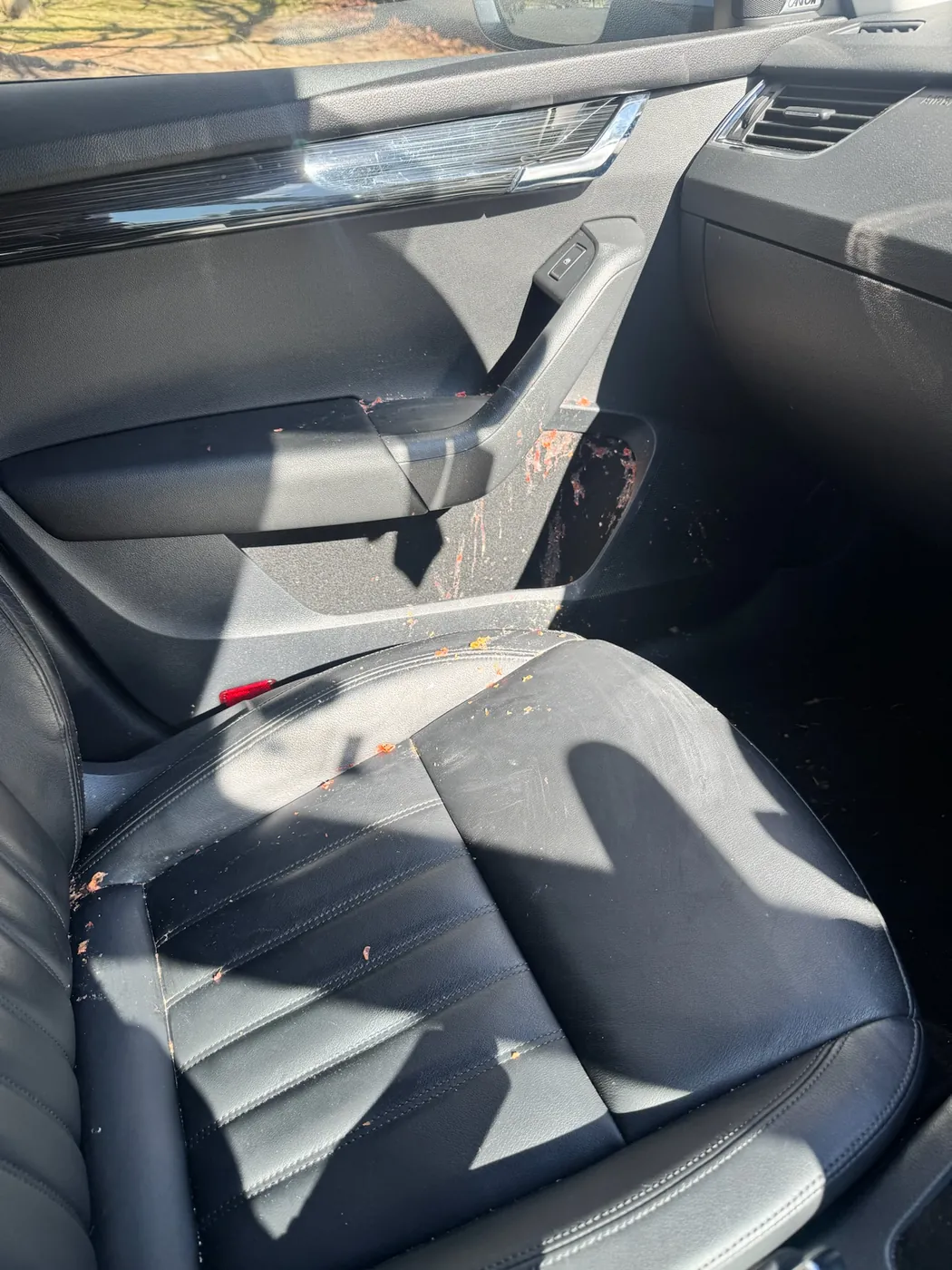 Before: filthy back seat interior with food mess